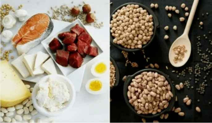Examples of Protein Products
