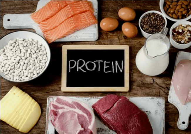 Protein